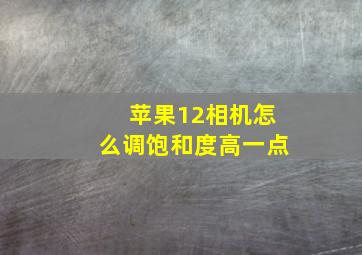 苹果12相机怎么调饱和度高一点