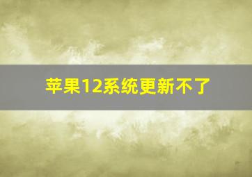 苹果12系统更新不了