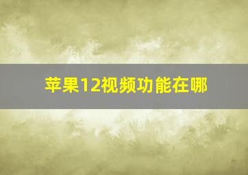 苹果12视频功能在哪