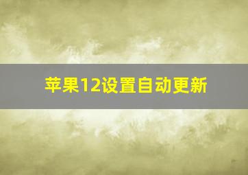 苹果12设置自动更新