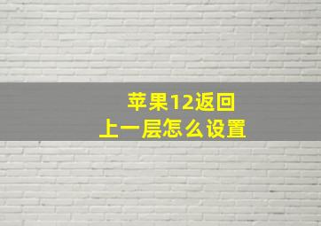 苹果12返回上一层怎么设置