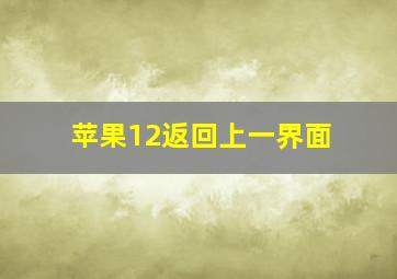 苹果12返回上一界面