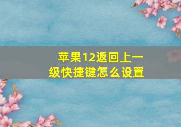 苹果12返回上一级快捷键怎么设置