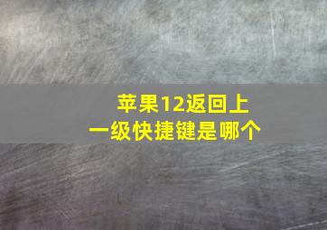 苹果12返回上一级快捷键是哪个