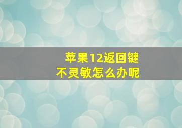 苹果12返回键不灵敏怎么办呢