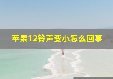 苹果12铃声变小怎么回事