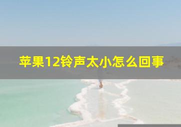 苹果12铃声太小怎么回事