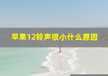 苹果12铃声很小什么原因