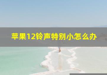 苹果12铃声特别小怎么办