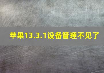 苹果13.3.1设备管理不见了