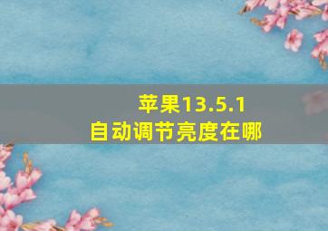 苹果13.5.1自动调节亮度在哪