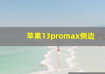 苹果13promax侧边