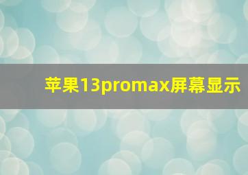 苹果13promax屏幕显示