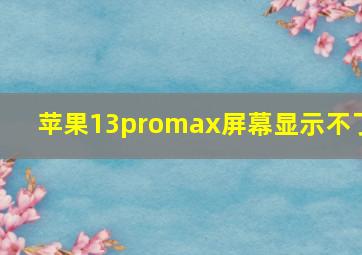 苹果13promax屏幕显示不了