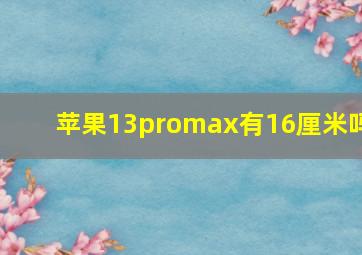 苹果13promax有16厘米吗