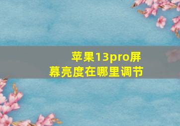 苹果13pro屏幕亮度在哪里调节