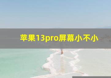 苹果13pro屏幕小不小