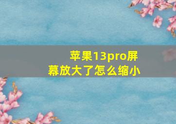 苹果13pro屏幕放大了怎么缩小