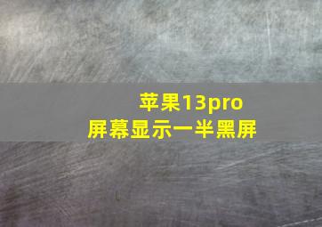 苹果13pro屏幕显示一半黑屏