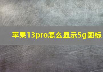 苹果13pro怎么显示5g图标