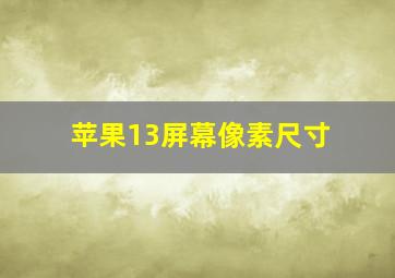 苹果13屏幕像素尺寸