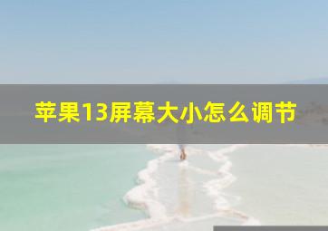 苹果13屏幕大小怎么调节