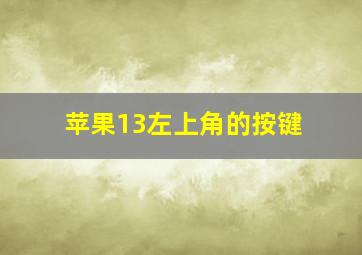 苹果13左上角的按键