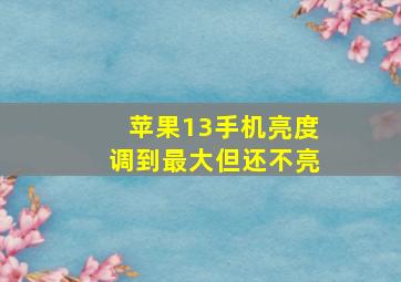 苹果13手机亮度调到最大但还不亮