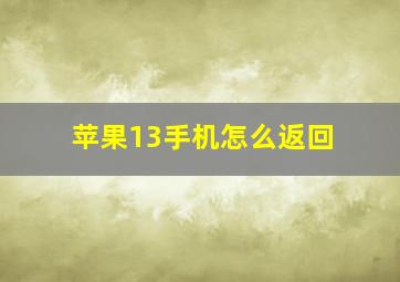 苹果13手机怎么返回