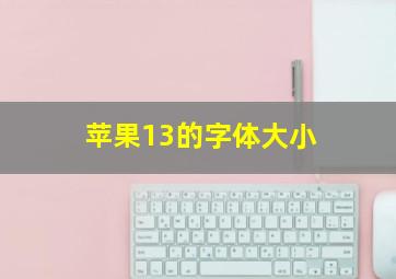 苹果13的字体大小