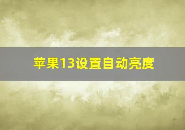 苹果13设置自动亮度