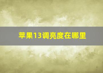 苹果13调亮度在哪里