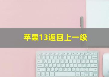 苹果13返回上一级