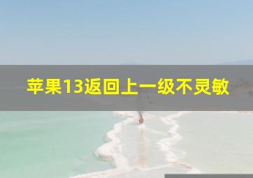 苹果13返回上一级不灵敏