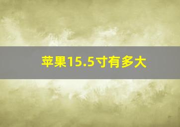 苹果15.5寸有多大