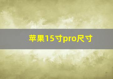 苹果15寸pro尺寸