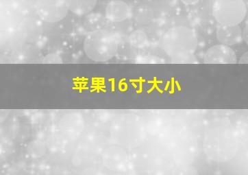 苹果16寸大小