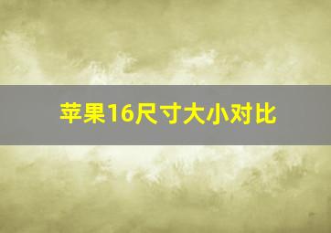 苹果16尺寸大小对比