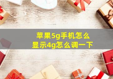 苹果5g手机怎么显示4g怎么调一下