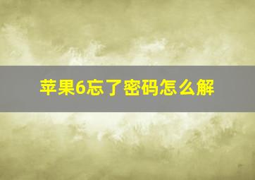 苹果6忘了密码怎么解