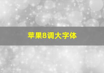 苹果8调大字体