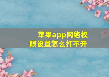 苹果app网络权限设置怎么打不开