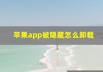 苹果app被隐藏怎么卸载