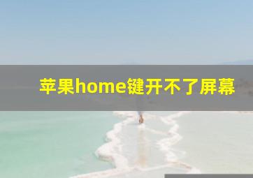 苹果home键开不了屏幕