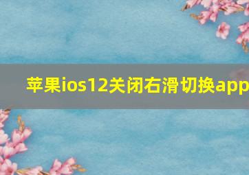 苹果ios12关闭右滑切换app