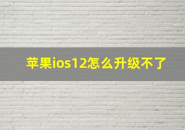 苹果ios12怎么升级不了