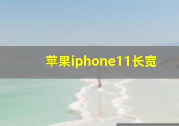 苹果iphone11长宽