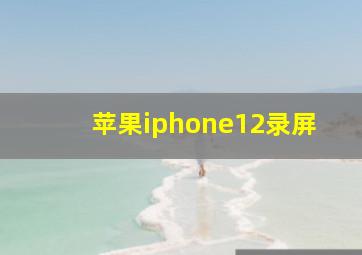 苹果iphone12录屏