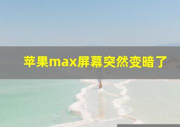 苹果max屏幕突然变暗了