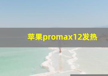 苹果promax12发热